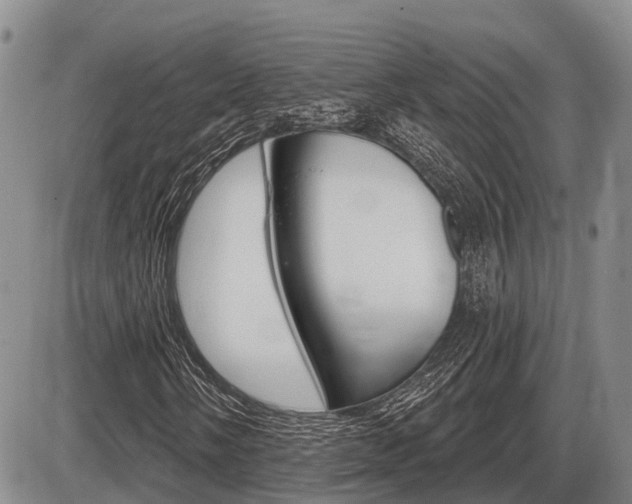 X0000086101058200703231045