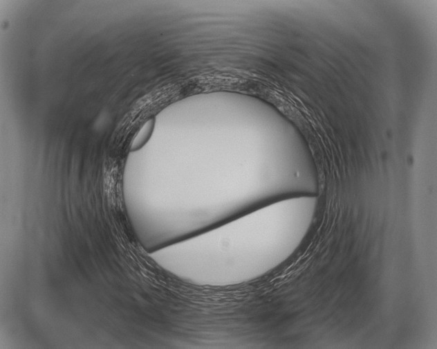 X0000086101059200703231045