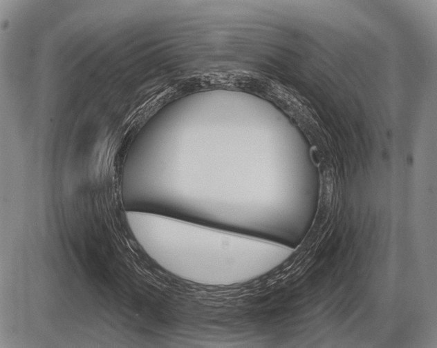 X0000086101060200703231045