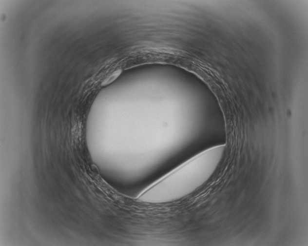 X0000086101061200703231045