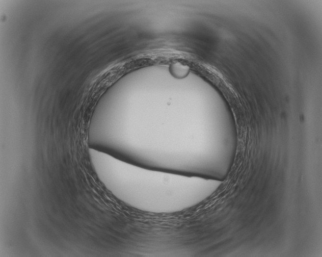 X0000086101063200703231045
