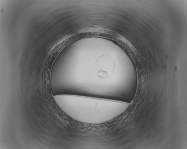 X0000086101064200703231045
