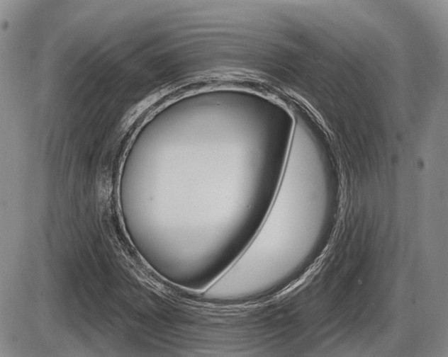 X0000086101065200703231045