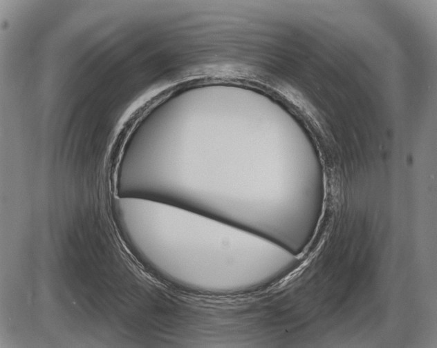 X0000086101070200703231045