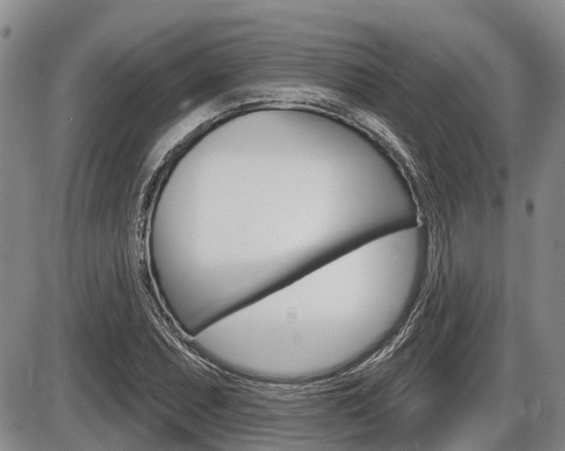X0000086101071200703231045