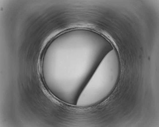 X0000086101080200703231044