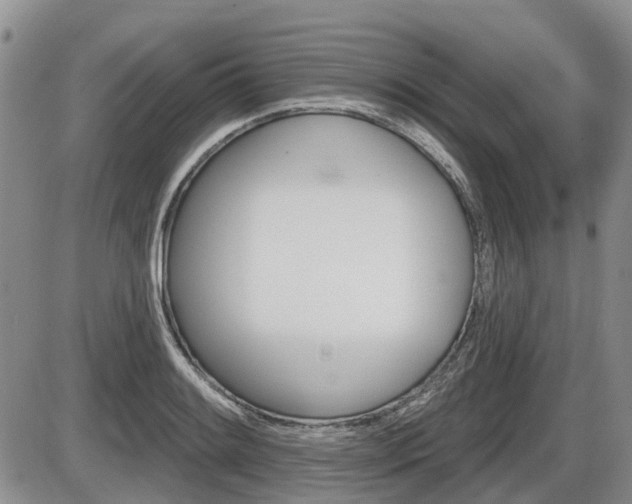 X0000086101084200703231044