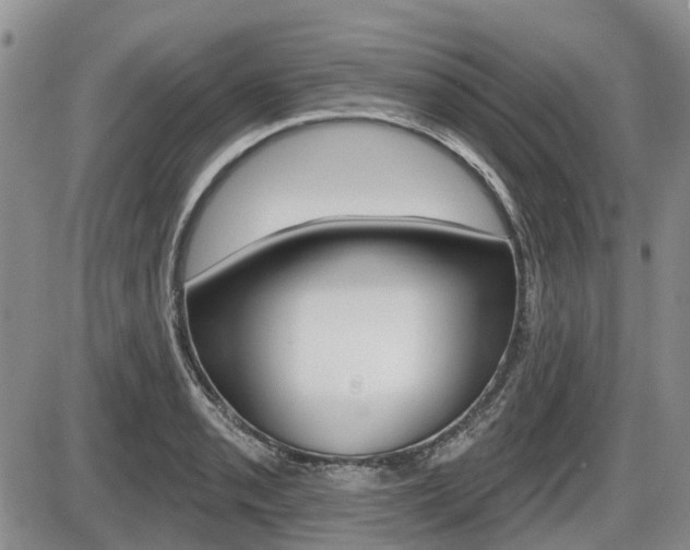 X0000086101085200703231044