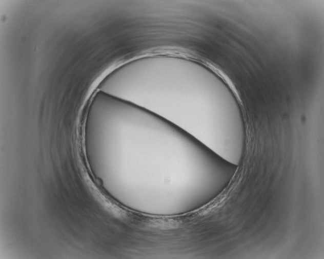 X0000086101091200703231044