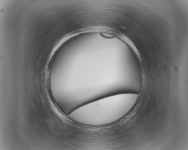 X0000086101099200703231044