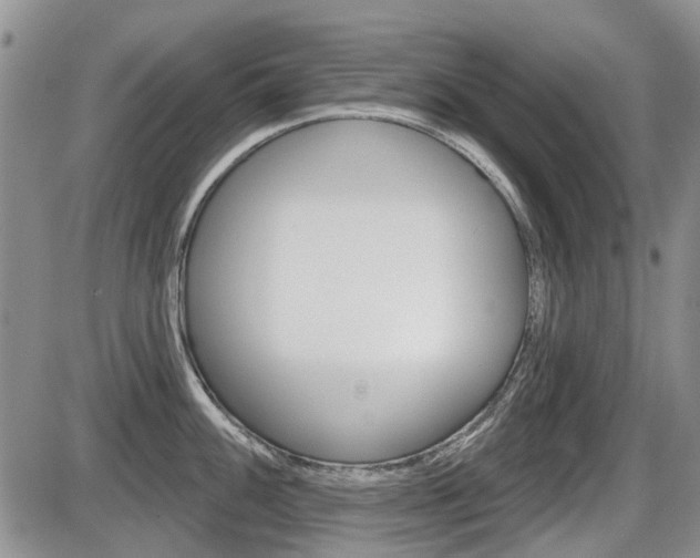 X0000086101100200703231044