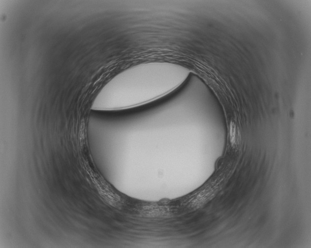 X0000086101107200703231043