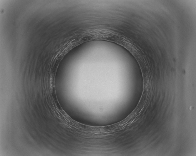 X0000086101108200703231043