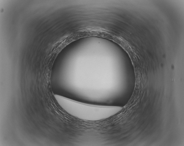 X0000086101110200703231043