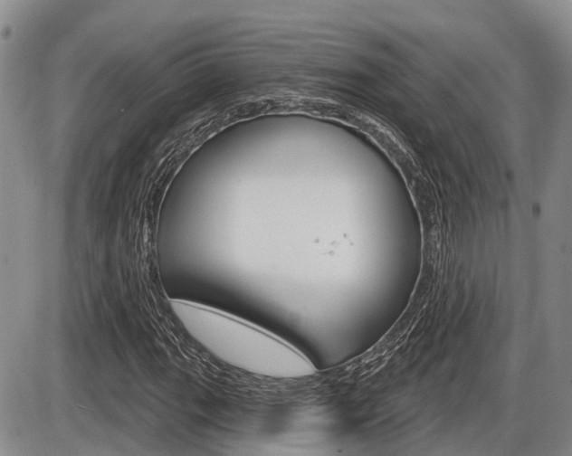 X0000086101111200703231043