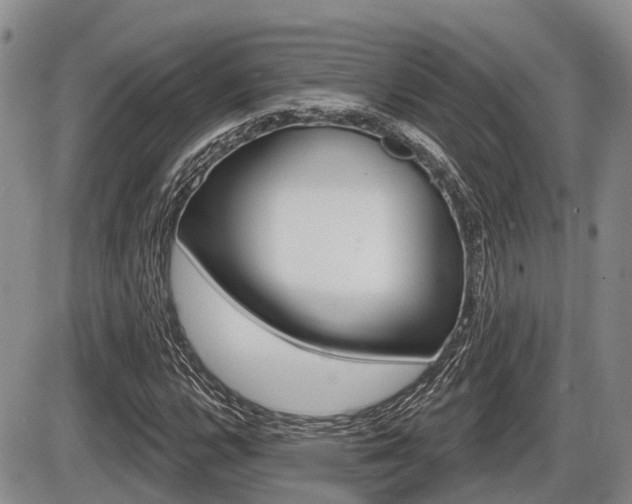 X0000086101112200703231043