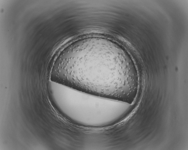 X0000086101113200703231043