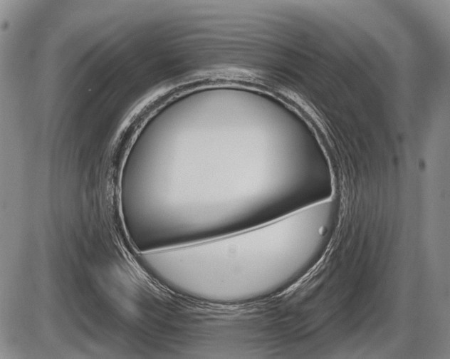 X0000086101115200703231043
