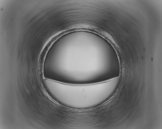 X0000086101116200703231043
