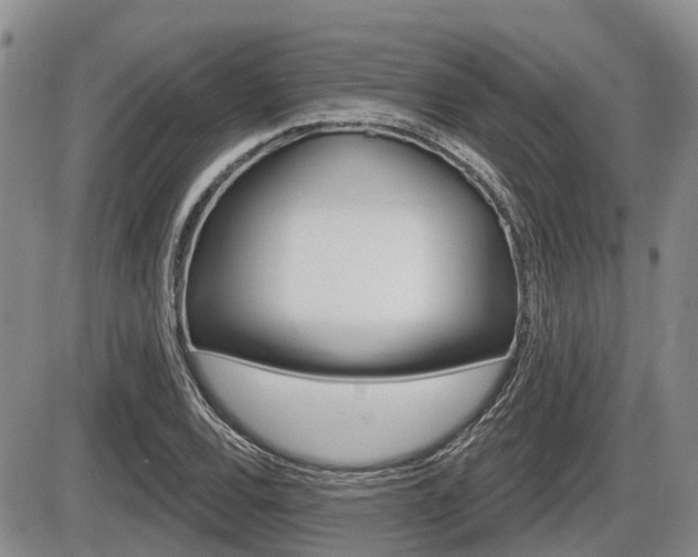 X0000086101120200703231043