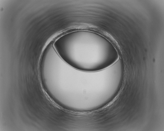 X0000086101122200703231043