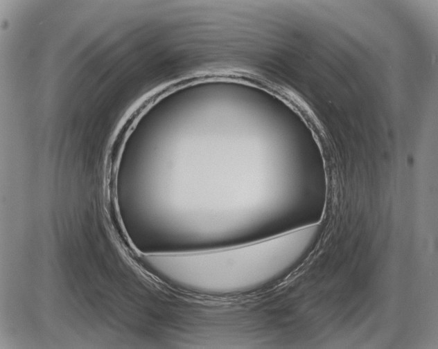 X0000086101124200703231044