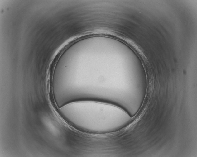 X0000086101126200703231044