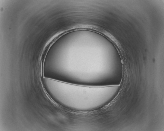 X0000086101127200703231044
