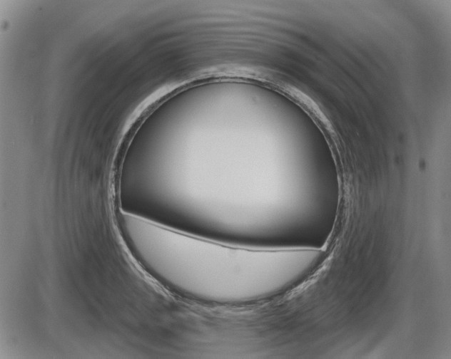 X0000086101133200703231044