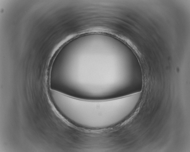 X0000086101134200703231044
