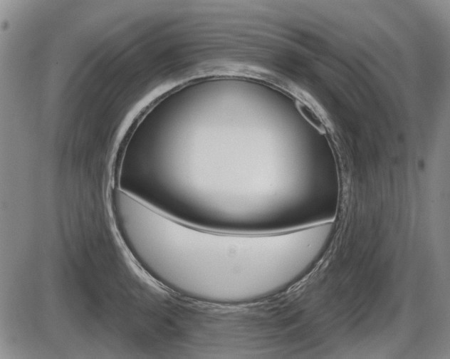 X0000086101136200703231044