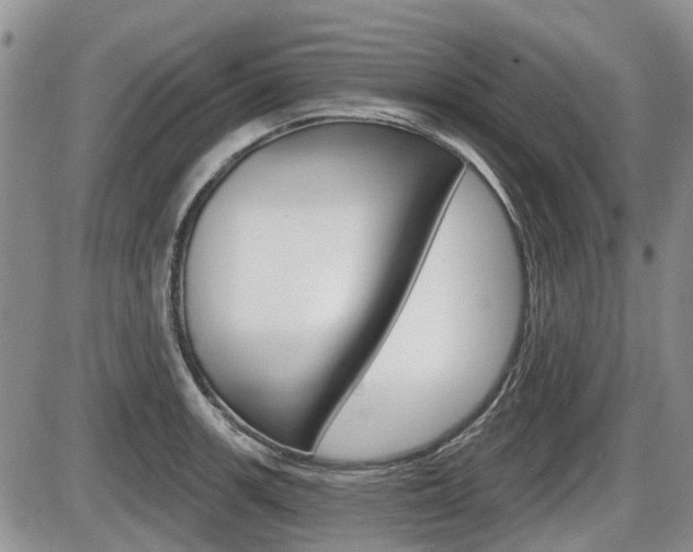 X0000086101139200703231044