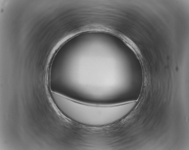 X0000086101144200703231044