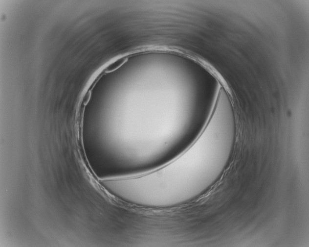 X0000086101148200703231044