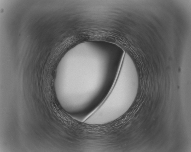 X0000086101153200703231043