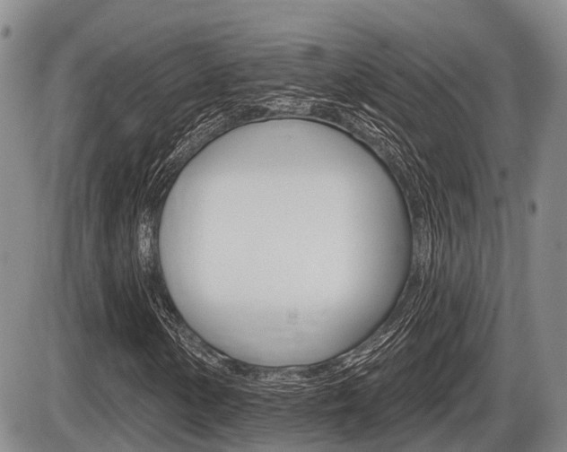X0000086101154200703231043
