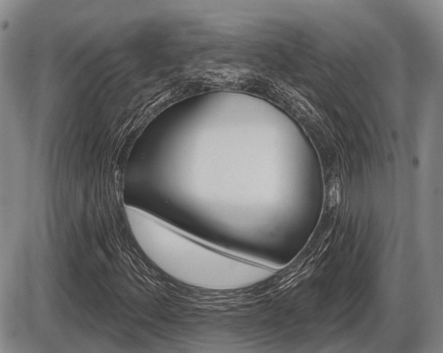 X0000086101156200703231043