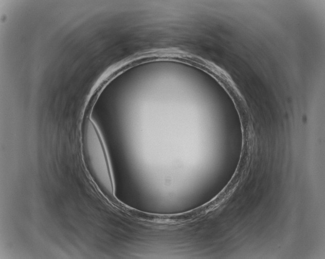 X0000086101176200703231043