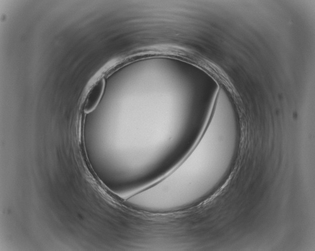 X0000086101180200703231043