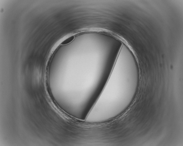 X0000086101187200703231043