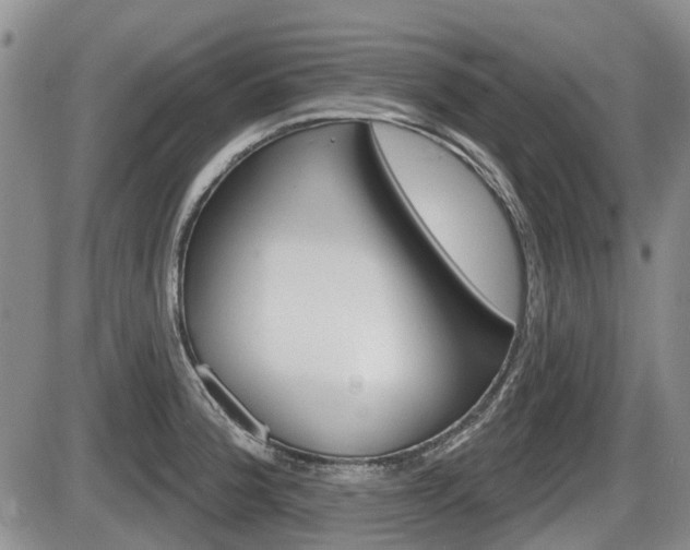 X0000086101188200703231043