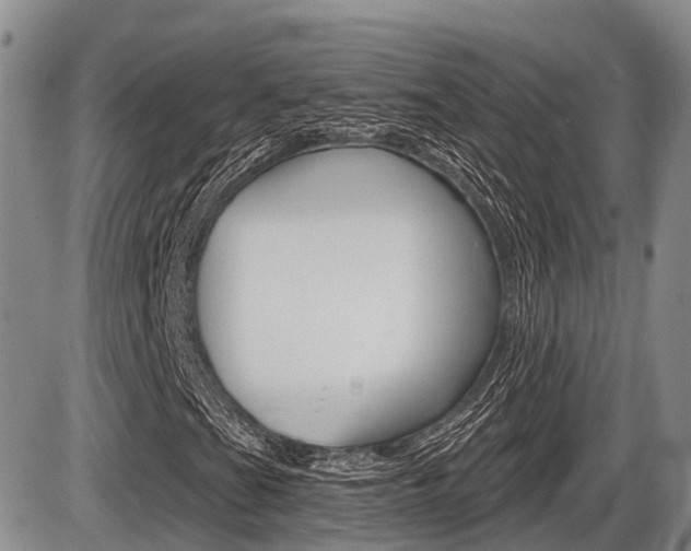 X0000086101201200703231042