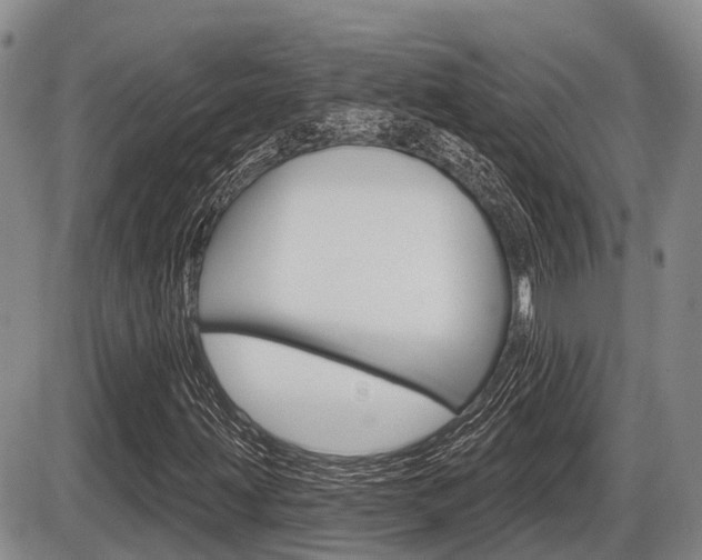 X0000086101203200703231042