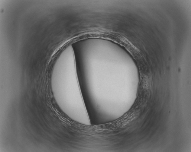 X0000086101208200703231042