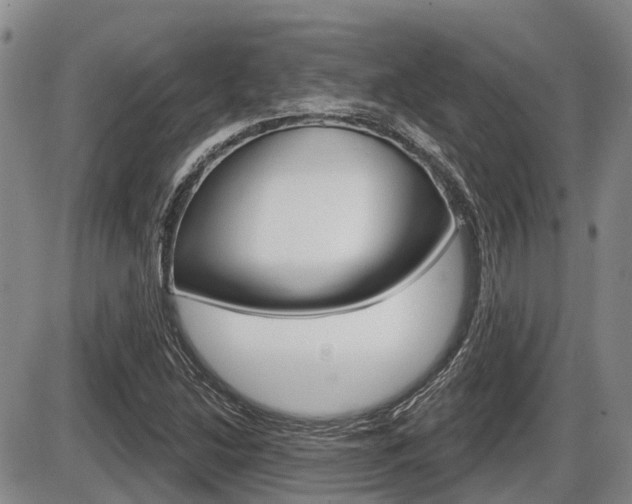 X0000086101214200703231042