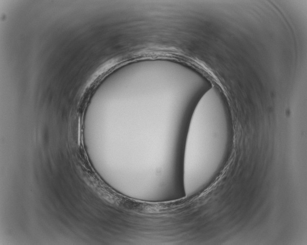 X0000086101219200703231042