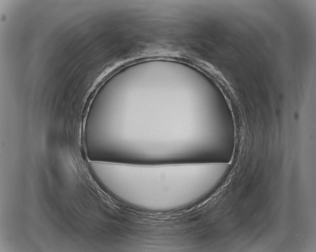 X0000086101220200703231042