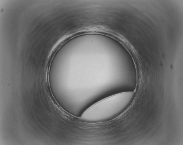 X0000086101224200703231042