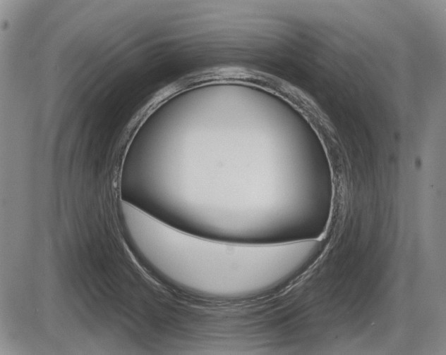 X0000086101225200703231042