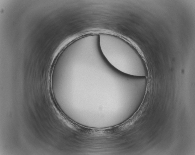 X0000086101231200703231042